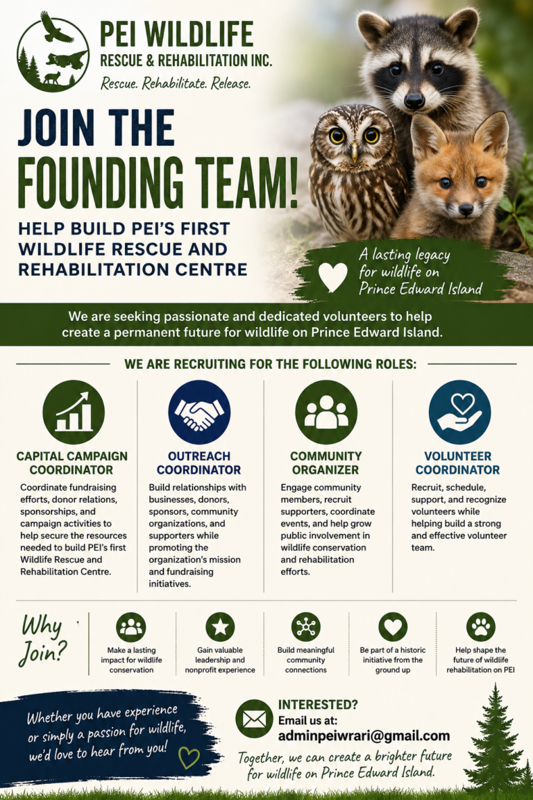 Help Build PEI's FIRST Wildlife Rescue and Rehabilitation Centre