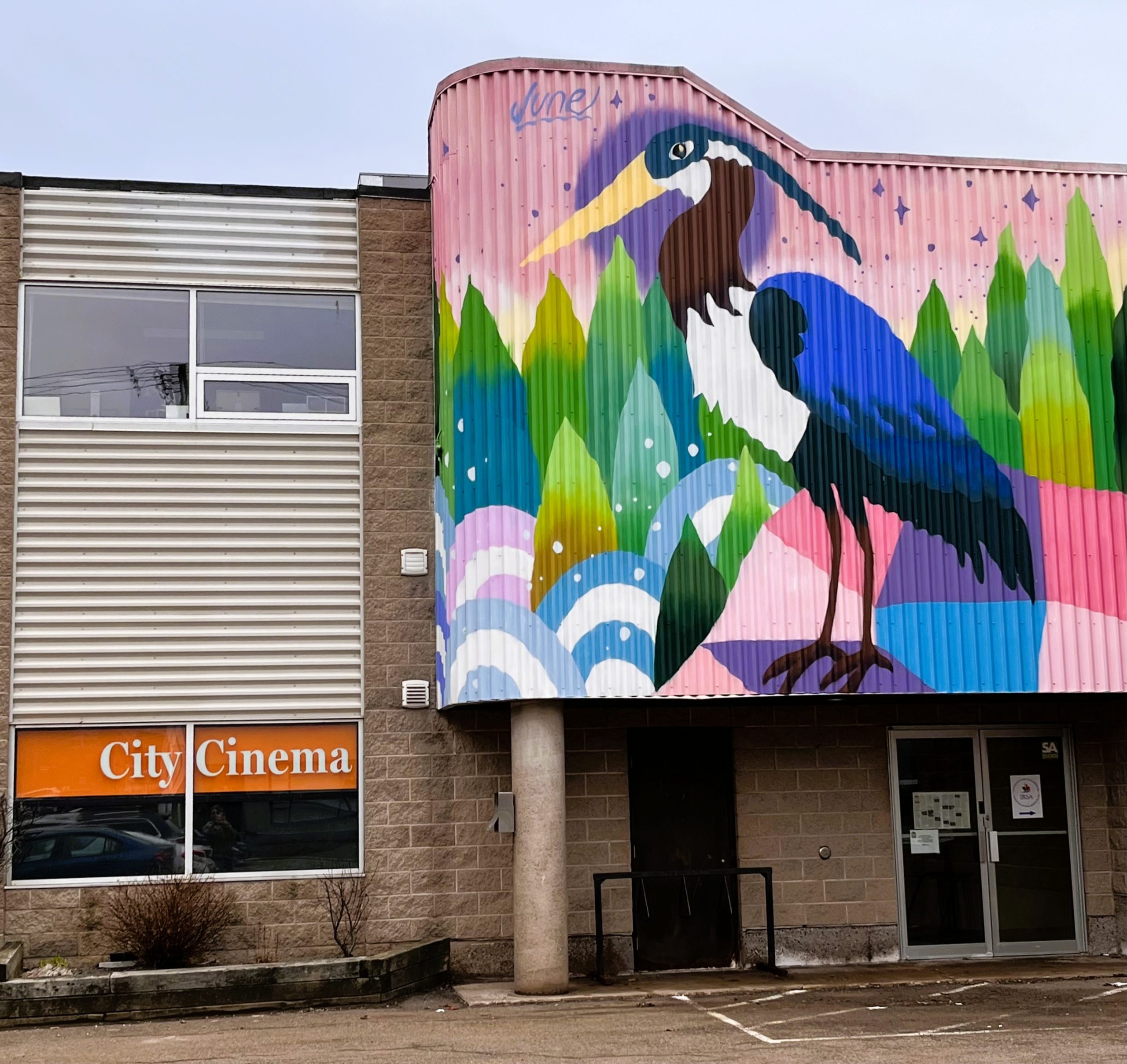 City Cinema